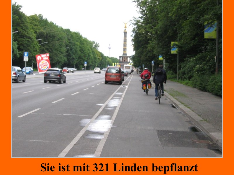Sie ist mit 321 Linden bepflanzt